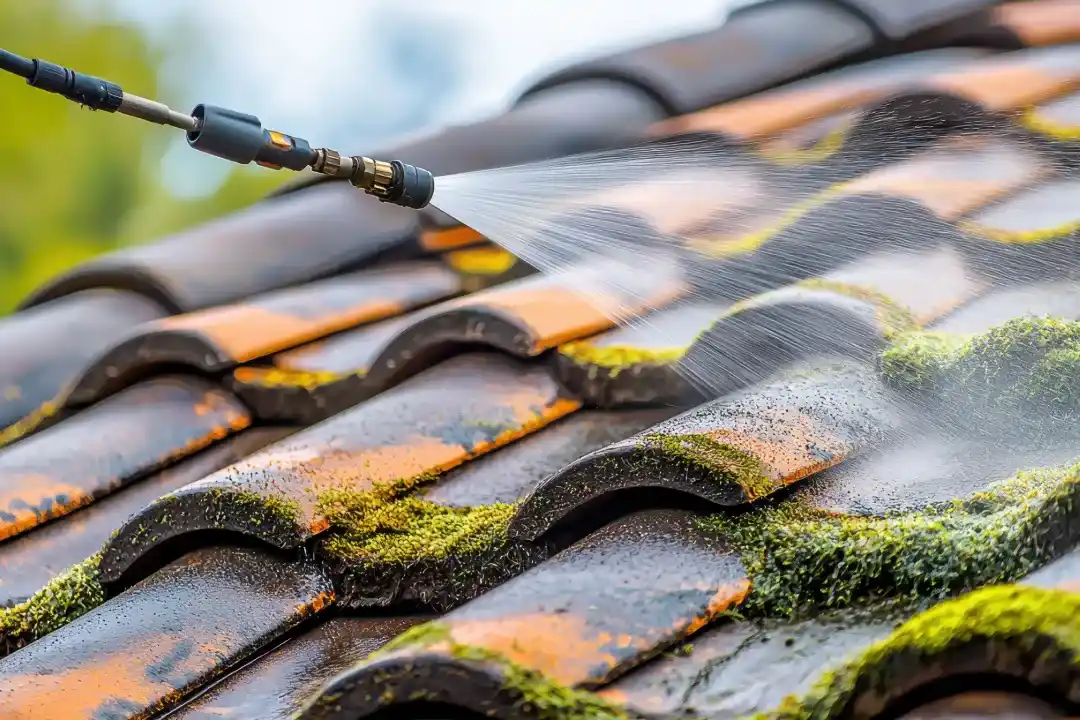 roof moss on asphalt shingles